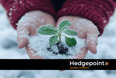Agricultura de invierno: impactos, riesgos y estrategias para el sector de las commodities