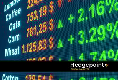 Hedge em commodities: por que é uma ótima opção neste mercado?
