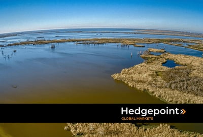 Rio Mississippi: Impactos da seca na cadeia do agronegócio