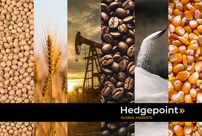 Panorama geral para commodities agrícolas e energéticas em 2024