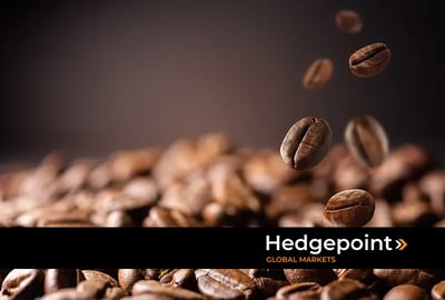 Mercado de café: principais tendências para 2024