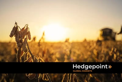 Colheita de soja: perspectivas para a América do Sul