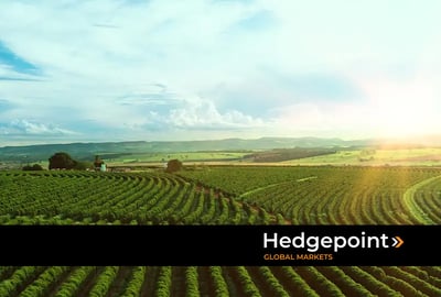 ¿Cuáles son las principales plagas agrícolas del café?