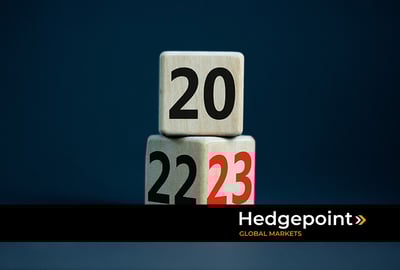 Especialistas da hEDGEpoint avaliam 2022!