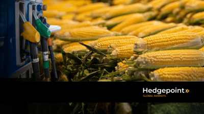 Learn All About Corn Ethanol and Its Characteristics