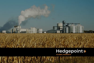Biocombustíveis: como funciona o mercado e a importância do gerenciamento de riscos na cadeia