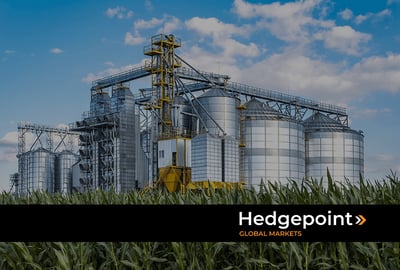 Agronegócio: entenda a importância para a indústria nacional e por que gerenciar riscos