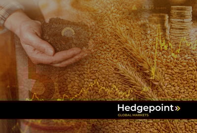 Entenda como é definido o preço das commodities