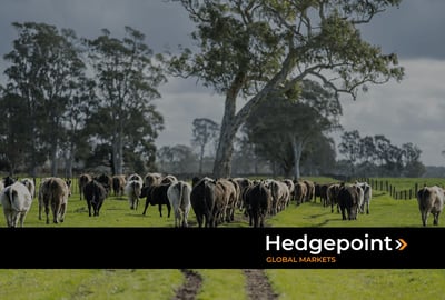 Mercado de proteína animal: risco de colapso nos Estados Unidos?
