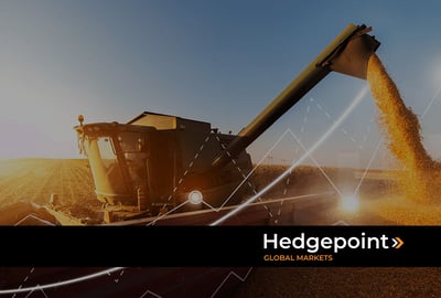 Derivativos agrícolas: o que são e como atuam na gestão de riscos?