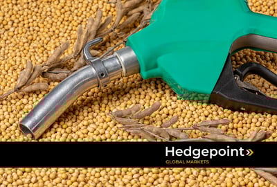 Dia Internacional do Biodiesel: o que é e como surgiu?