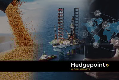 hEDGEpoint: conheça os setores de atuação da empresa
