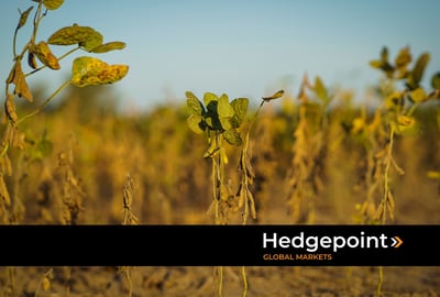 A influência dos fenômenos climáticos no mercado de commodities