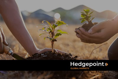 Como o mercado de fertilizantes impacta as commodities?
