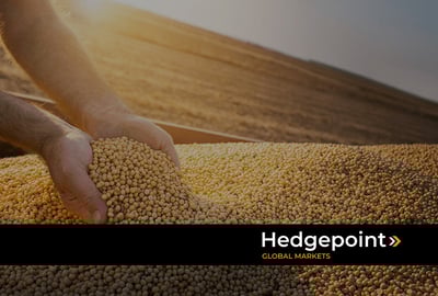 O que é fungibilidade no mercado de commodities?