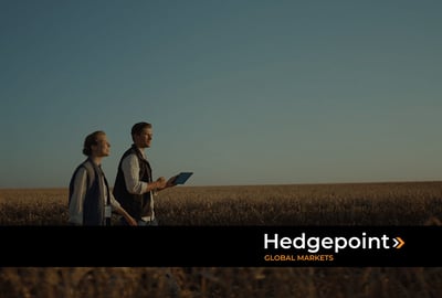 Gestão do agronegócio: como aliar tradição à profissionalização?