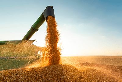The 2021/22 Brazil grain harvest: Current context and possible directions