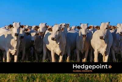 Futuro do mercado de produção animal: o Brasil como potência