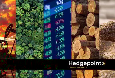 O que são commodities: tudo o que você precisa saber