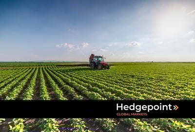 Mercado da soja: como funcionam os contratos futuros?