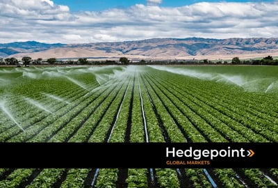 Importância da irrigação na agricultura 4.0