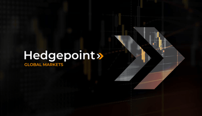 Evolução da marca Hedgepoint: conheça as mudanças