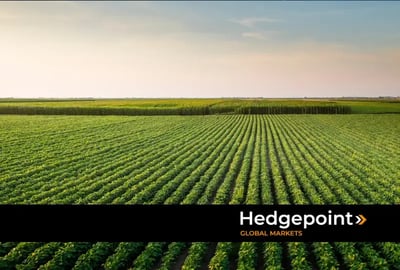 The importance of the sowing window for Brazilian soybeans