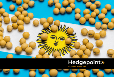 Argentine soybeans: follow the data for the 2023/2024 crop