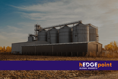 Grain storage in Brazil: Understand the problem
