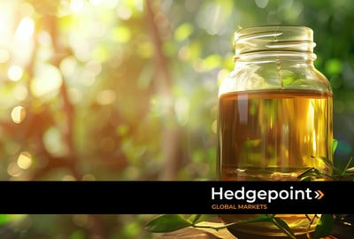 Biodiesel blend increases to 14% in Brazil: what does this mean?