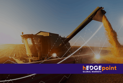 Agricultural Derivatives: What are they, and how do they help manage risk?