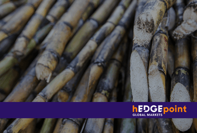 What can we expect from the 2023/2024 sugarcane harvest?