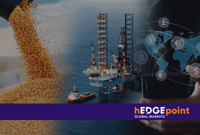 hEDGEpoint: Find out what areas the company works with