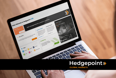 Hedgepoint HUB: nuestra plataforma es aún más completa