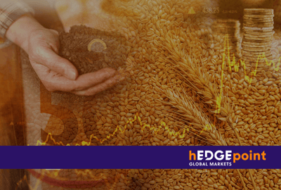 Entienda cómo se define el precio de los commodities