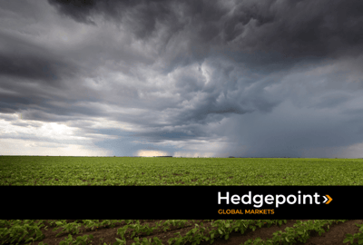 Enchentes no RS: impacto na agricultura