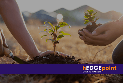 How does the fertilizer market affect commodity production?