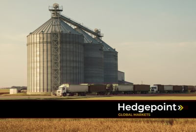 Os desafios da armazenagem e do transporte de grãos no Brasil em 2025