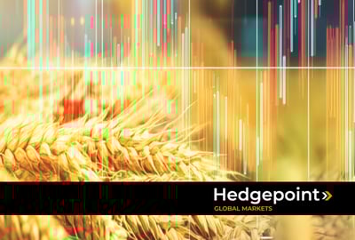 Understand how the price of wheat is formed