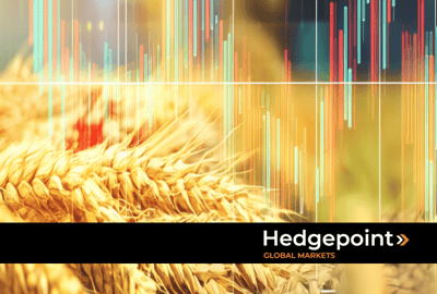 Entienda cómo se forma el precio del trigo