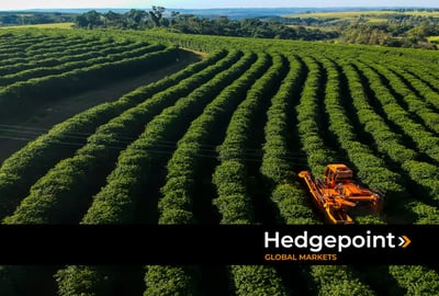 Plano Safra: como funciona e por que é essencial para o agronegócio