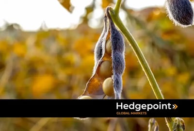 How does the trade rapprochement between Brazil and China affect soybean prices?