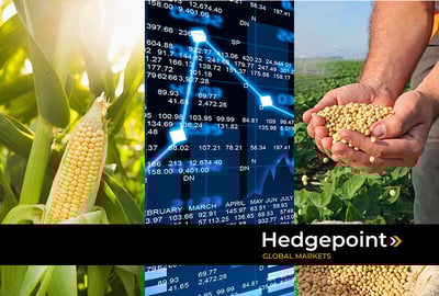Futures contracts: how do they work in the grain and oilseed market?