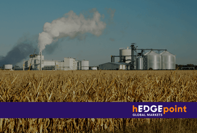 Biocombustibles: cómo funciona el mercado y la importancia de la gestión de riesgos en la cadena