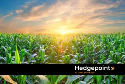 El mercado brasileño de la bioenergía