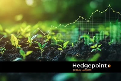 Mercado agrícola: análise pós-WASDE report