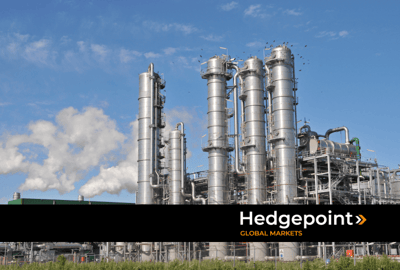 A evolução do mercado bioenergético