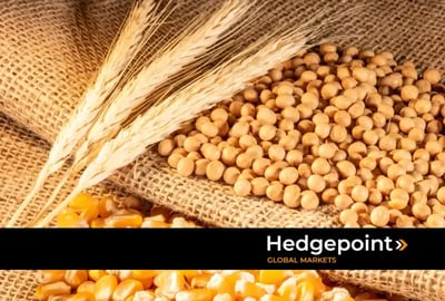 Corn and soybean harvest 2024/2025: South America in search of records