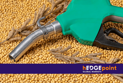 International Biodiesel Day: What is it and how did it originate?
