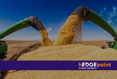 The 2022/23 soybean crop balance in Brazil and market perspectives